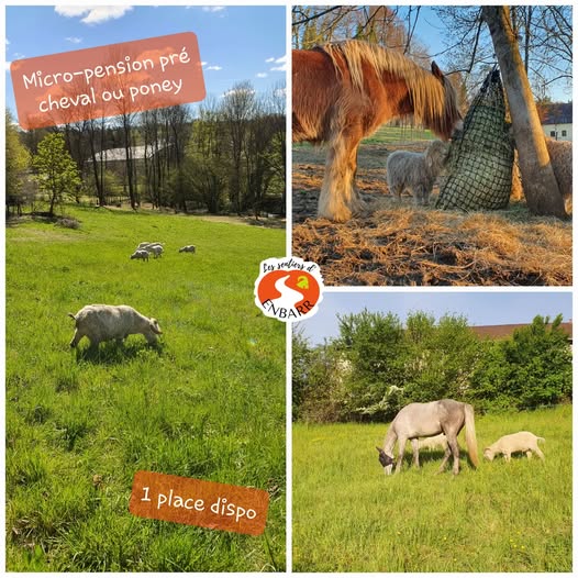 pension-pre-cheval